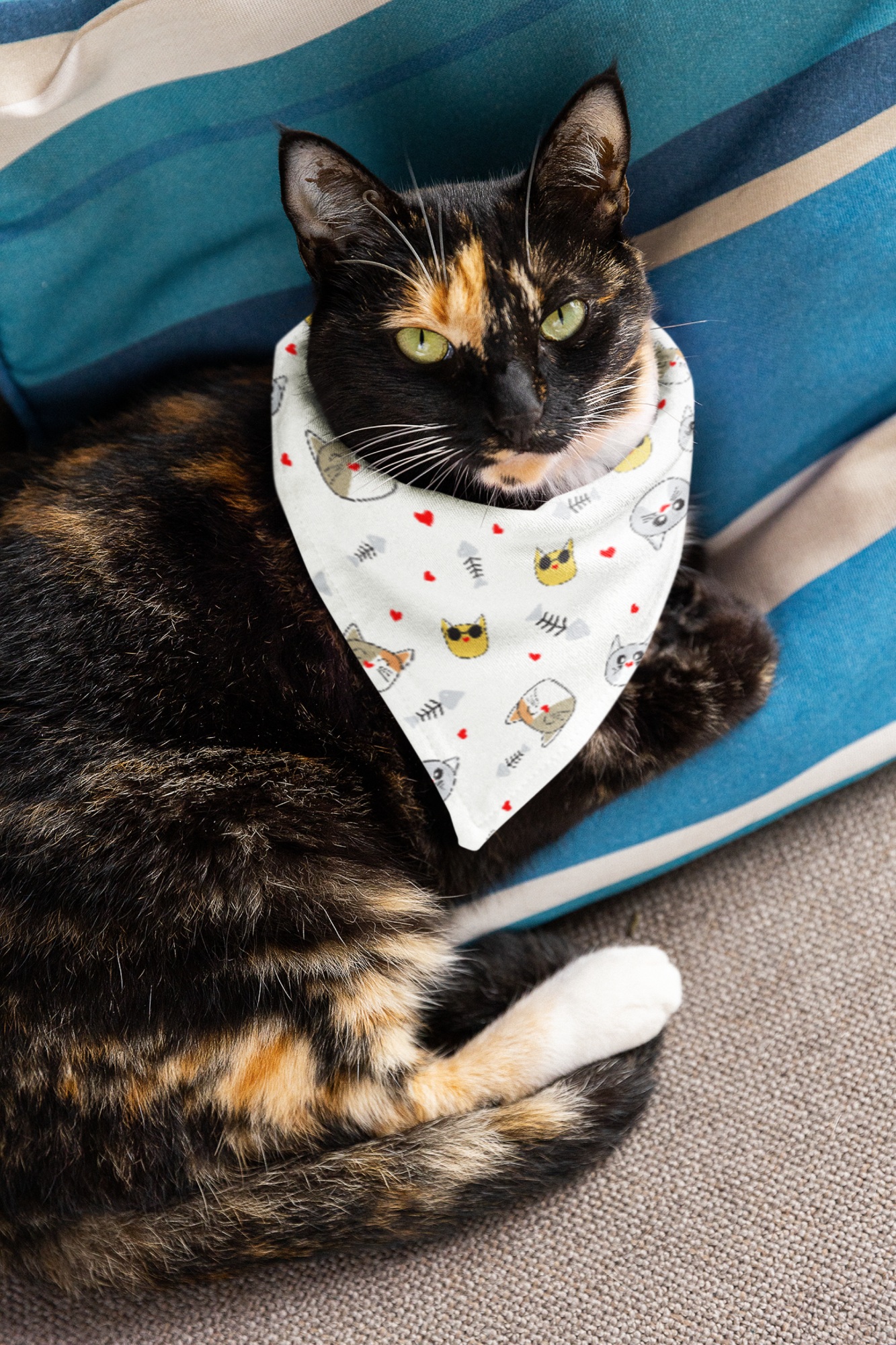 Cats and Fish Bones Pet Bandana Collar | Feline Cat Kitty Kitten Scarf and Collar Set