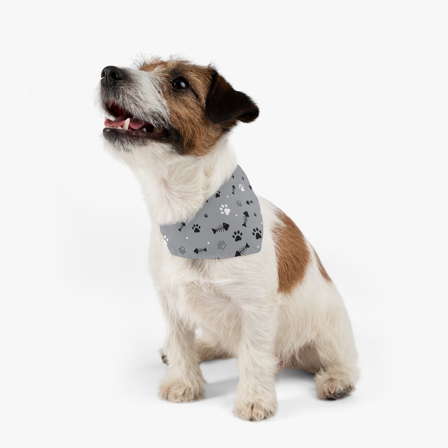 Paw Prints and Fish Bones Pet Bandana Collar | Collar and Scarf set | Cool Fun Dog Cat Scarf Puppy Kitten Canine Feline Accessories